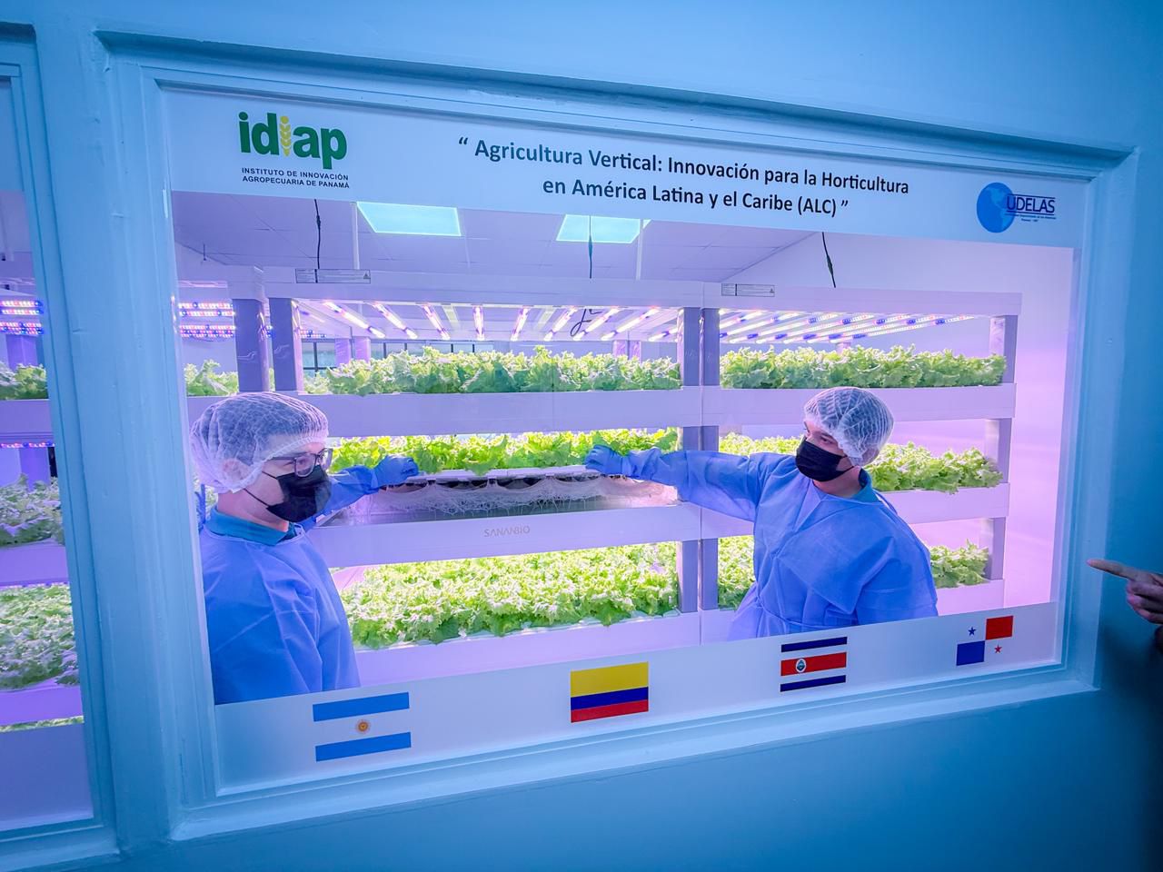 IDIAP y la UDELAS inauguran laboratorio experimental de agricultura vertical 